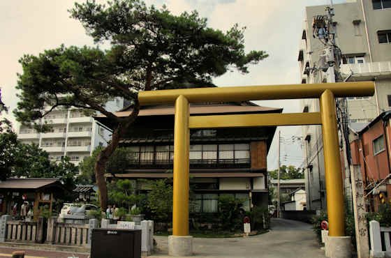 ⛩️ 고치 다이진구 신사 (고치 다이진구) 이미지 6